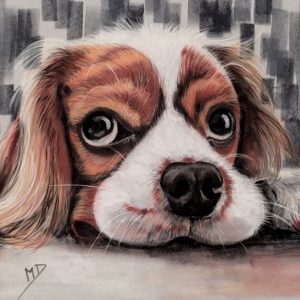 Chien