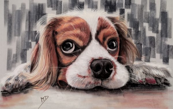 Chien