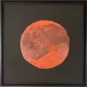 There is no planet B - Mars