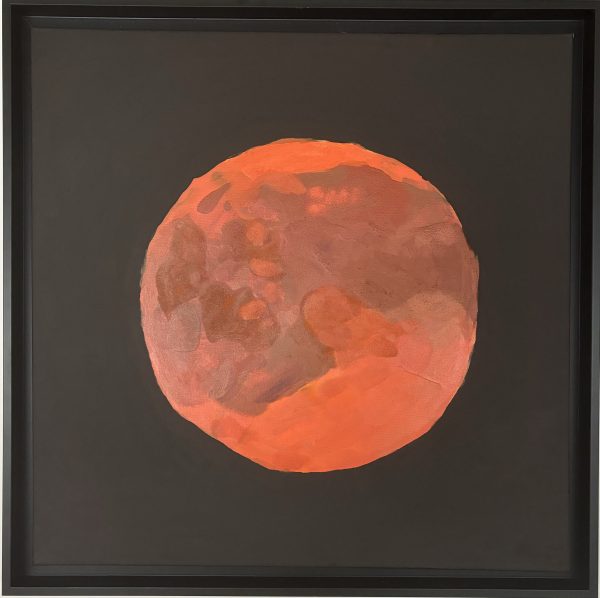 There is no planet B - Mars