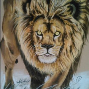 Lion